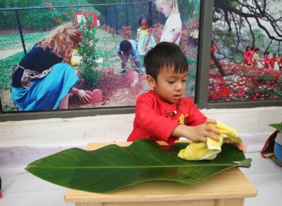 Mon-Grapeseed – Gói Bánh Chưng